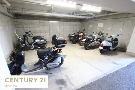 ̑p oCNuNz2000`5000~