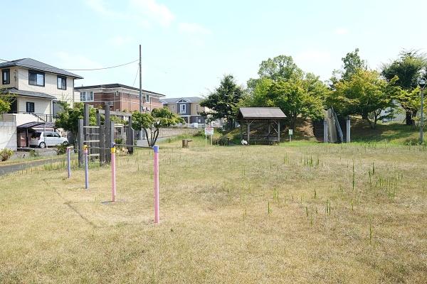 ���ӊ� �y�����z�F100m�V��R����