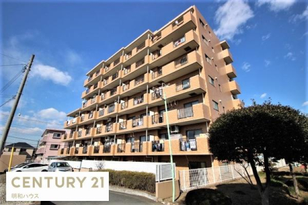 ̑n TJCi[ԉwŊyXʋ΁I