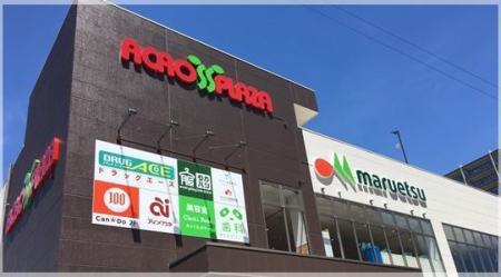 ӊ yX[p[zF533m}GcANXvU˓X