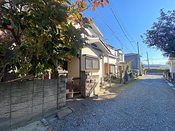 OʓH܂ތnʐ^ ǍD̗nI