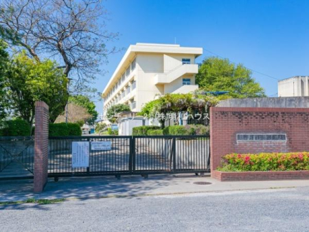 ӊ ywZzF1070m߃swZ