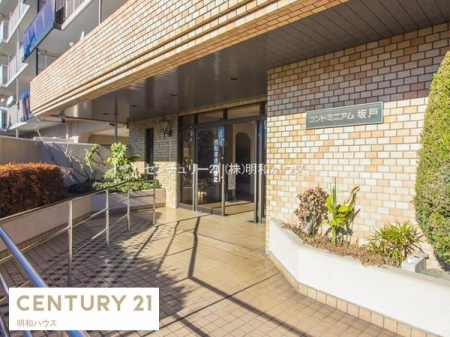 �G���g�����X �΂̐A�͂����o�}���I