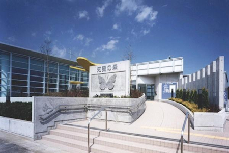 ӊ y}فzF879mm̐X@R}