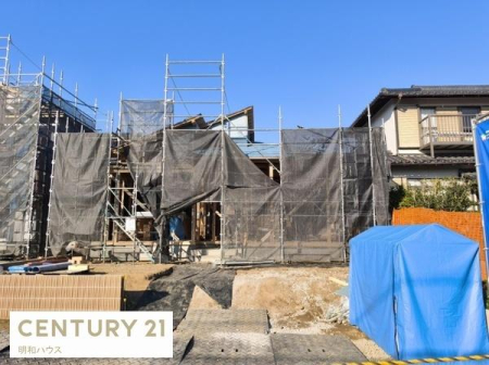 ���̑����n 3����