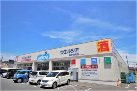 ���ӊ� �y�h���b�O�X�g�A�z�F315m�E�G���V�A��Ǎ�˖����X