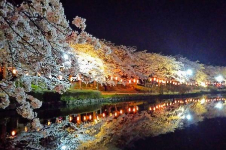 ���ӊ� �y�����z�F252m�������