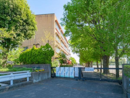 ���ӊ� �y���w�Z�z�F1428m�߃����s���쒆�w�Z