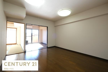 ���r���O LD8.4���@�Ƒ��̌e���̋��