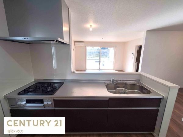 �L�b�`�� �Ƒ��̗l�q���`����l�C�̑Ζʎ��L�b�`���I