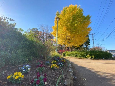 ���ӊ� �y�����z�F696m�߃����x�m�������ߗ׌���