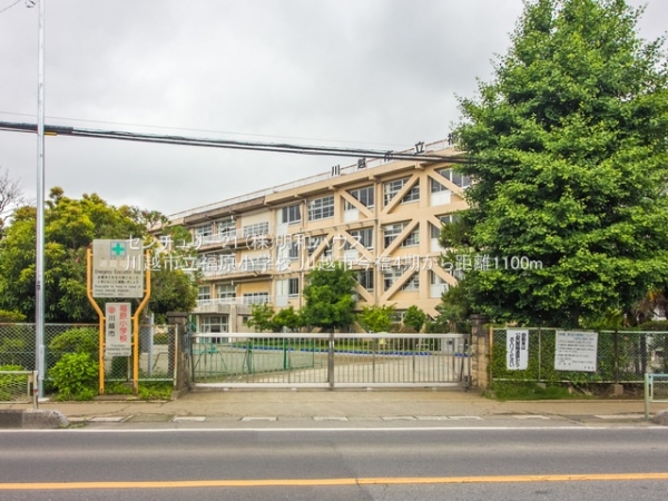 ���ӊ� �y���w�Z�z�F1100m��z�s���������w�Z