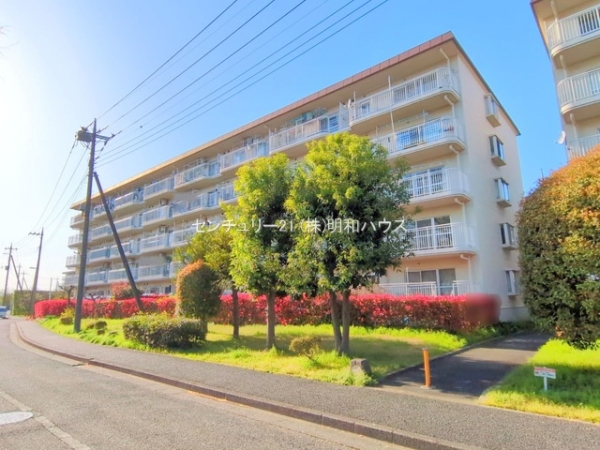 ���̑����n -