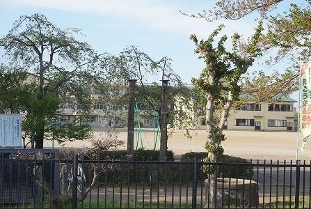 ���ӊ� �y���w�Z�z�F1700m�������w�Z