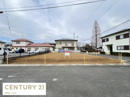 ���n�y�n�ʐ^ �s�s�K�X�E�{�������p��