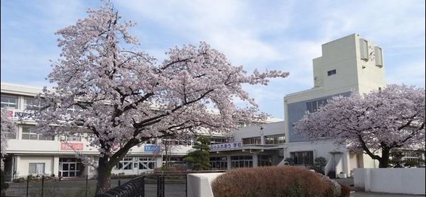 ���ӊ� �y���w�Z�z�F1637m�јC�R������쏬�w�Z