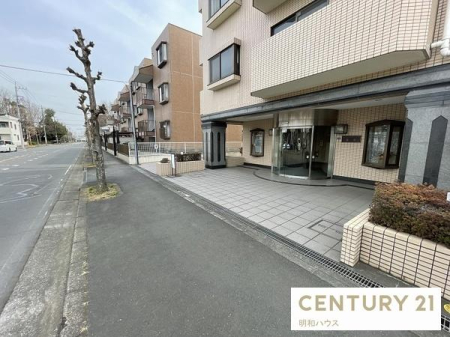 ���̑����n �����������t�w���p�I