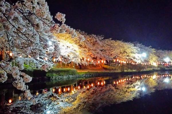 ���ӊ� �y�����z�F1003m�������