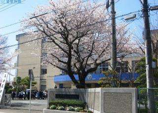 ���ӊ� �y���w�Z�z�F551m��ˎs�������w�Z