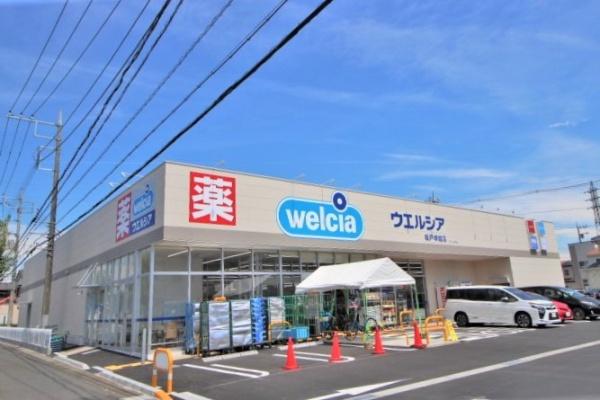 ���ӊ� �y�h���b�O�X�g�A�z�F265m�E�G���V�A��ǁ@��˒ˉz�X