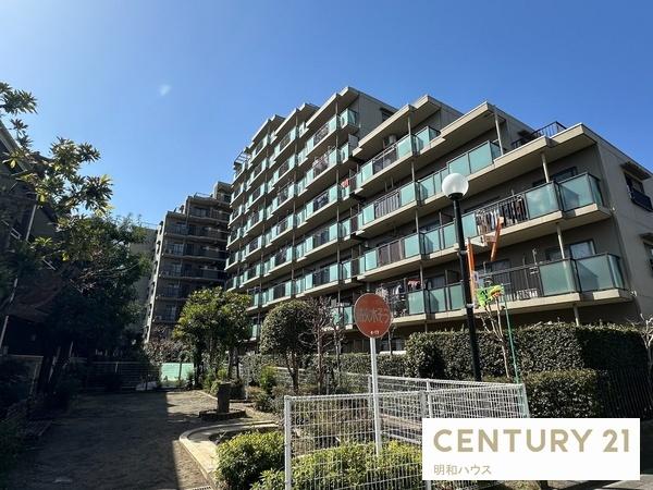 ���n�O�ώʐ^ �R�X����t�i�`���[���I