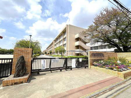 ���ӊ� �y���w�Z�z�F339m�߃����s���쏬�w�Z