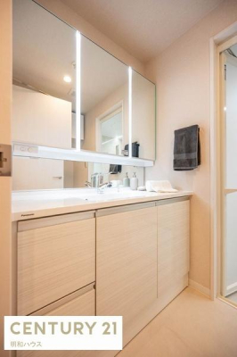 ���ʑ�E���ʏ� �������ȎO�ʋ��t�V�����v�[�h���b�T�[