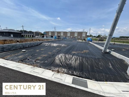 ���n�y�n�ʐ^ ���N�����̓}�C�z�[���I