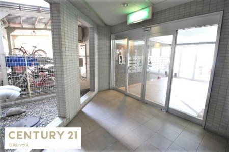 ���r�[ ���X�X�ʂ�ɖʂ����K�Ȑ���������܂��I