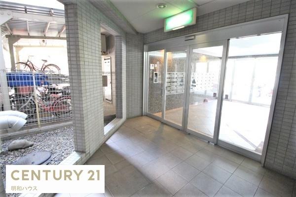 ���r�[ ���X�X�ʂ�ɖʂ����K�Ȑ���������܂��I