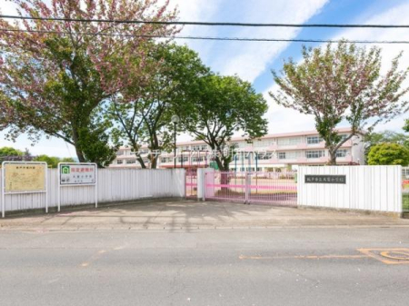 ���ӊ� �y���w�Z�z�F1700m��ˎs����Ə��w�Z