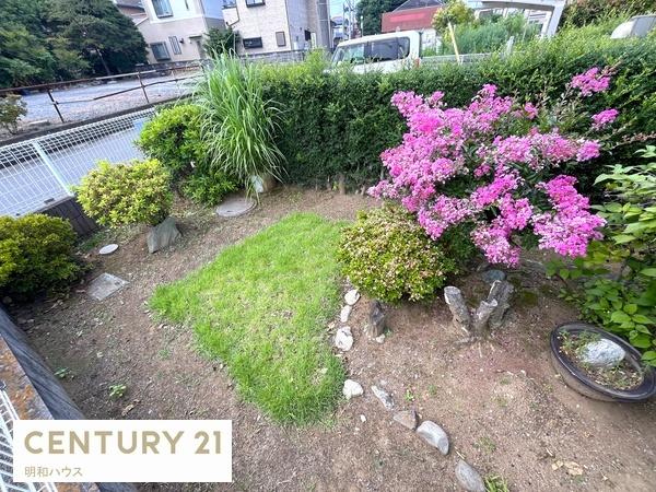 �� �T���X�x����c�c�W���y���߂܂��I