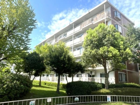�߃����s�x�m��3���� 1-2�̒��Ã}���V����