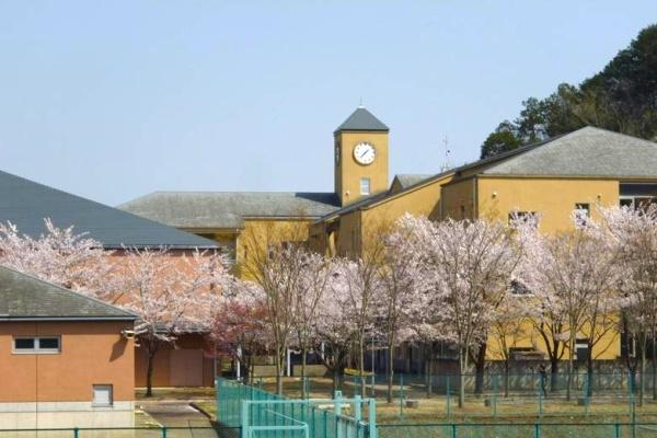 ���ӊ� �y���w�Z�z�F2978m���쒬�����쒆�w�Z