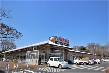 周辺環境　【スーパー】：600mエコスTAIRAYA川鶴店