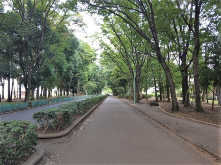 周辺環境　【公園】：302m竹野緑地