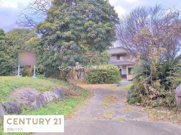 ���n�y�n�ʐ^ -