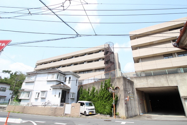 ӊ ya@zF916uvВc@lRtRta@