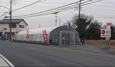 若葉からとれたてイチゴご紹介 坂戸 鶴ヶ島 川越の不動産のことならセンチュリー21明和ハウス