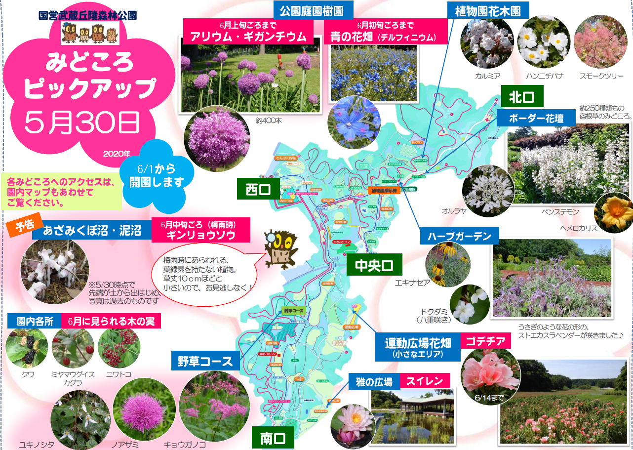 森林公園 と 藤プラザ３dk のご紹介 坂戸 鶴ヶ島 川越の不動産のことならセンチュリー21明和ハウス