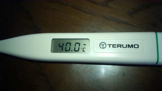 スタッフブログ 坂戸 鶴ヶ島 川越の不動産のことならセンチュリー21明和ハウス