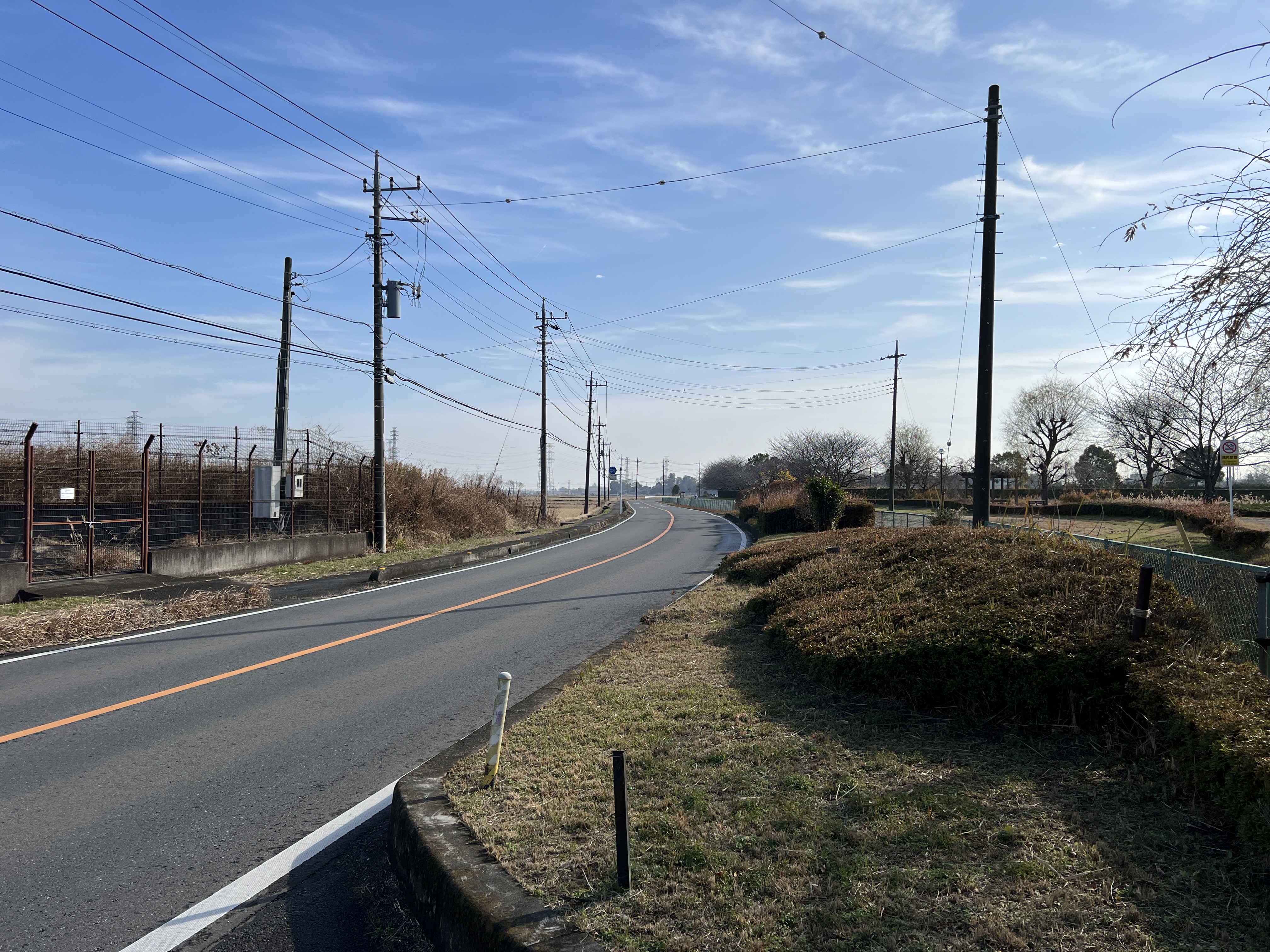 県道256号線